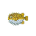 Puffer Fish.png