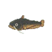 Catfish.png